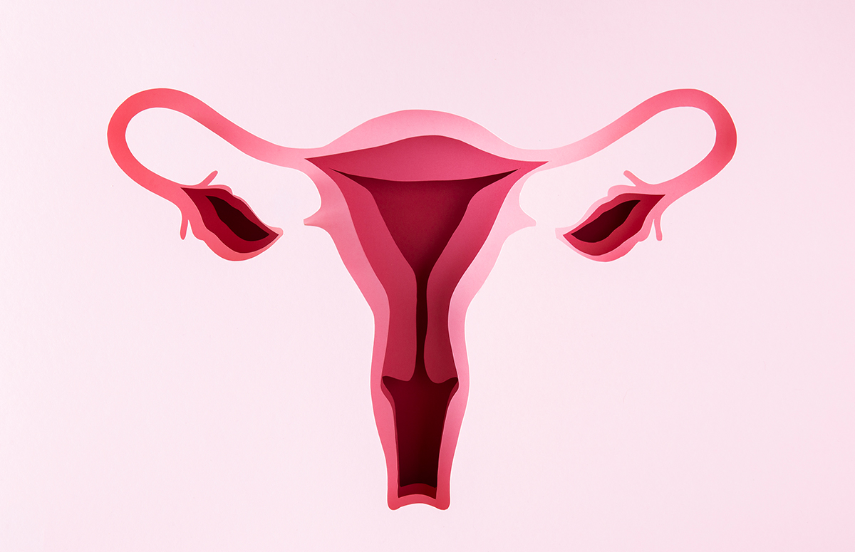 Ovülasyon İndüksiyonu