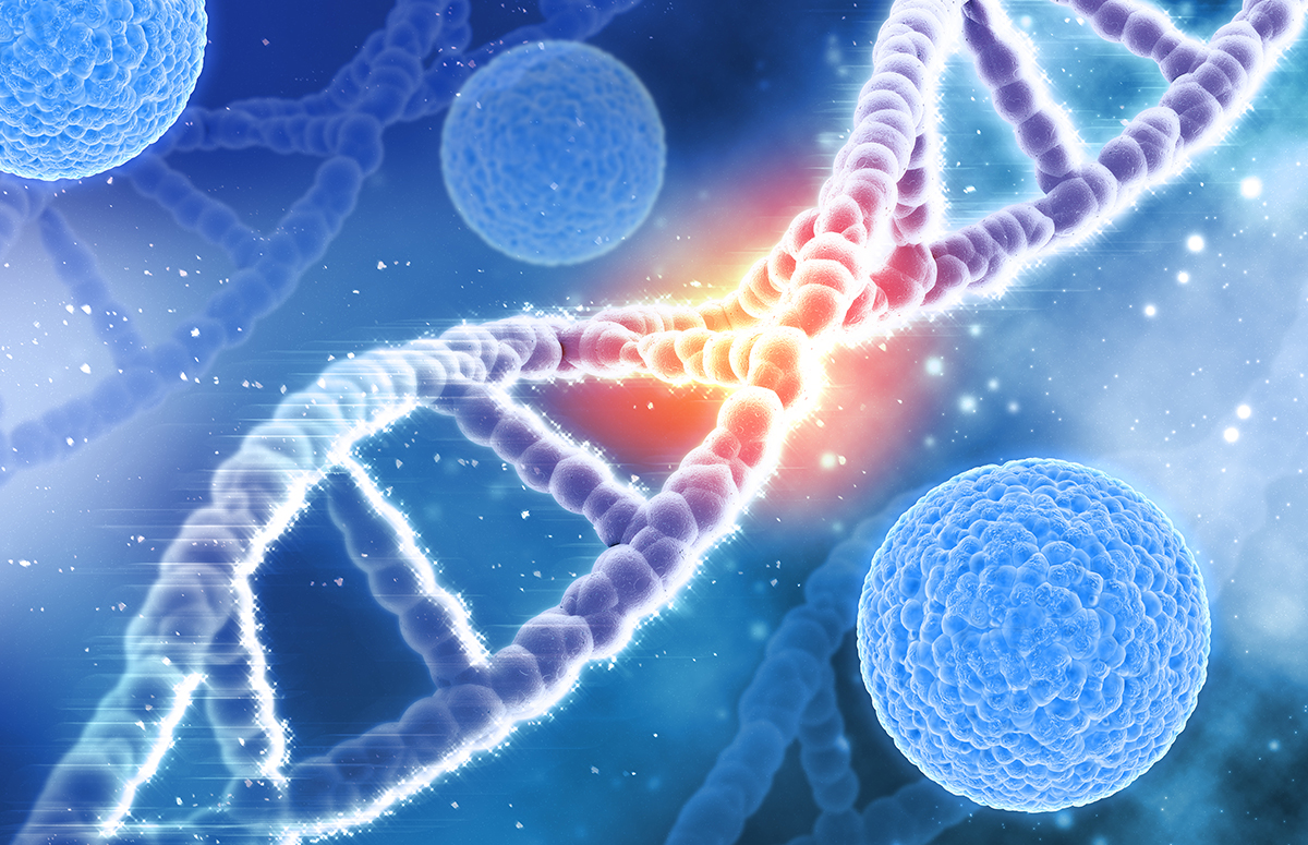 Tüp Bebek Tedavisinde Genetik Testlerin Önemi